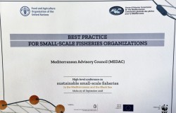 High-level conference on sustainable SSF in the Mediterranean and the Black Sea