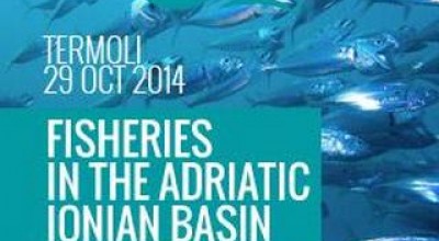 Quale Futuro Per La Pesca Nel Bacino Adriatico-Ionico?