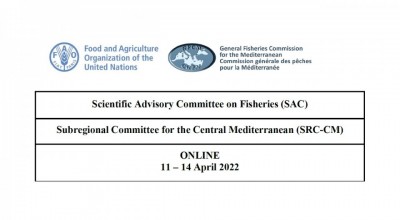 GFCM Subregional Committee for the central Mediterranean (SRC-CM)