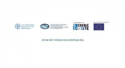 GFCM SSF Forum workshop “Connecting scientists and fishers in the process towards data collection and management of European eel in the Mediterranean »