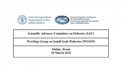 GFCM Working Group on Small-Scale Fisheries (WGSSF)