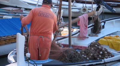 Avis du MEDAC sur la situation socio-économique du secteur de la pêche en Méditerranée