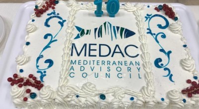 MEDAC meetings 3-4 June 2020