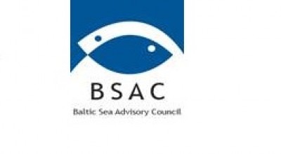Appel d'offres du BSAC -  RAPPORTEUR-INFORMATION ASSISTANT