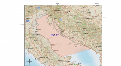 Consultation Publique sur les petits pélagiques dans le nord de l'Adriatique - lancé par la DGMARE