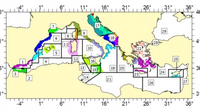 GT1: sur l'impact de la législation CE sur la pêche dans la Méditerranée - REGIONALISATION