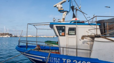 GT1 +GT3+ Project FISH-X