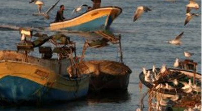 GT 1: sur l'impact de la législation CE sur la pêche dans la Méditerranée - Roma 2013