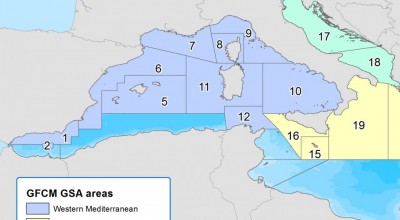 FG West Med + Adriatique 20 février 2019