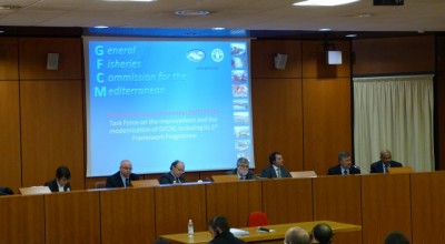 Assémblée Générale- Février 2012