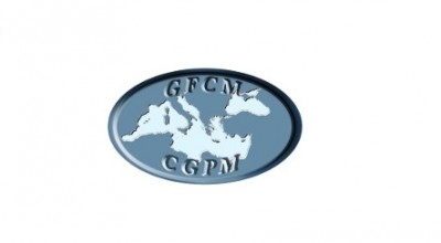 GFCM SAC (Scientific Advisory Committee on Fisheries) Twenty-Second Session