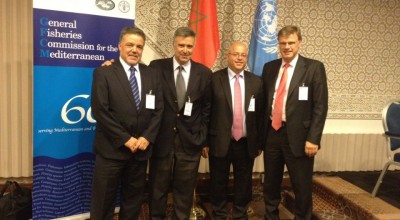 GFCM - 36th SESSION